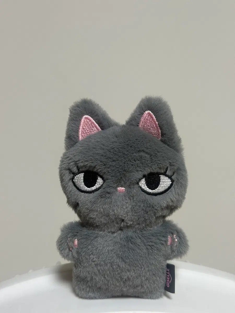젤블냥이