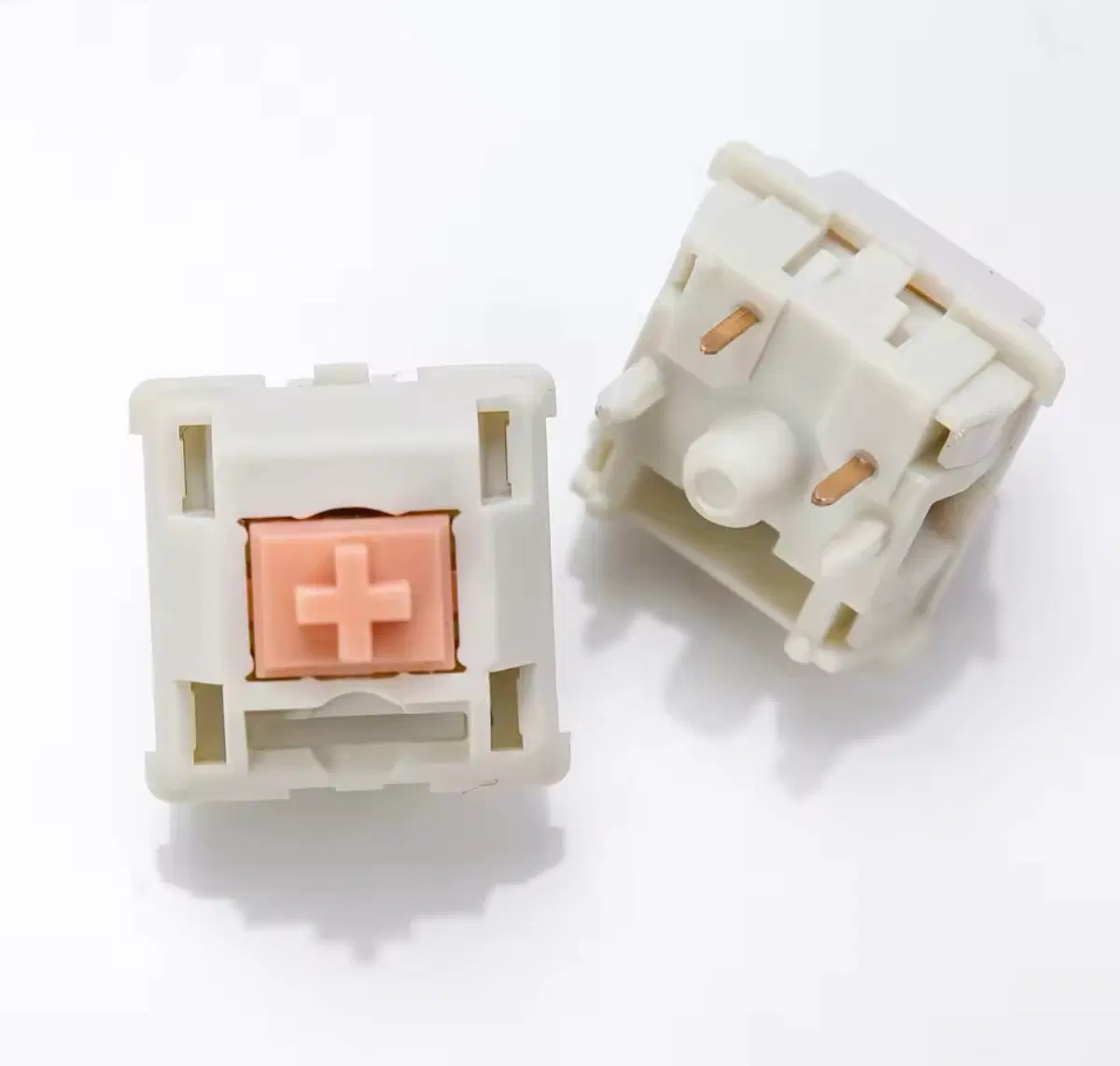 홀리판다 스위치 55g 100개