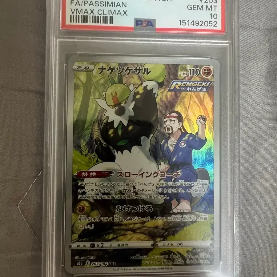포켓몬카드 일판 내던숭이chr psa10