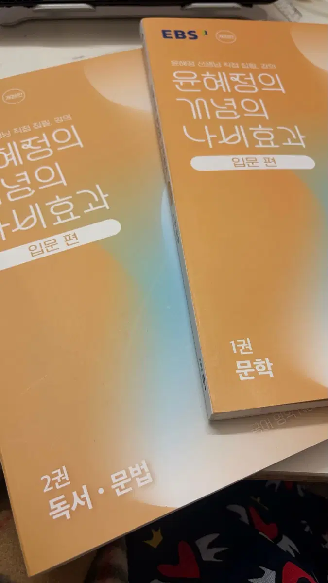 윤혜정의 나비효과 문학 비문학 판매