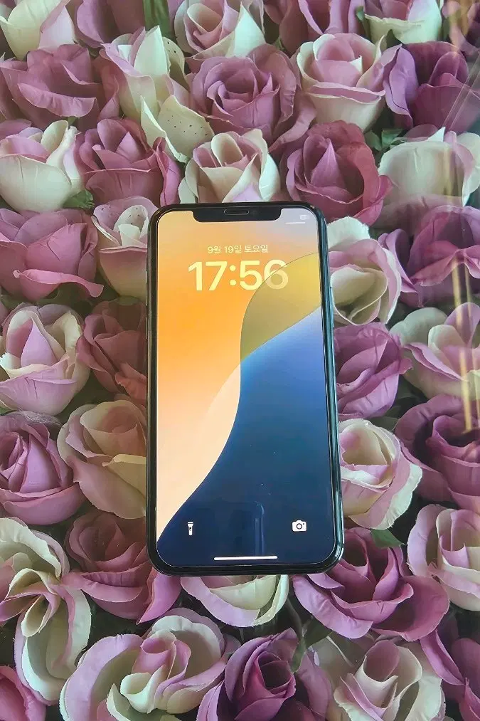 아이폰 11프로 256GB+케이스