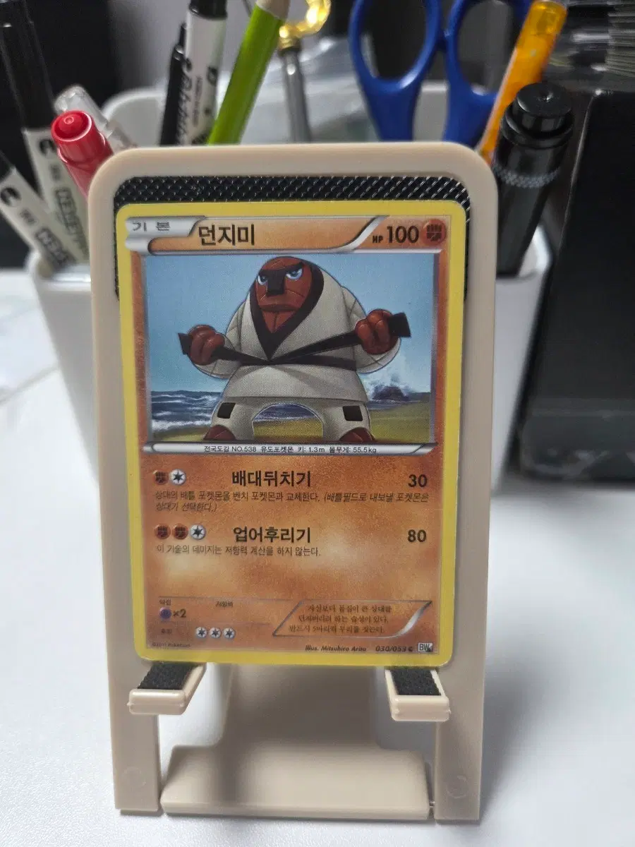 포켓몬 카드 던지미