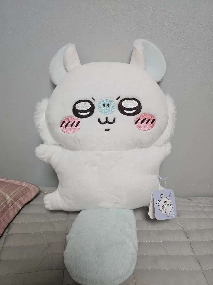 [판매] 모몽가쿠지 B상