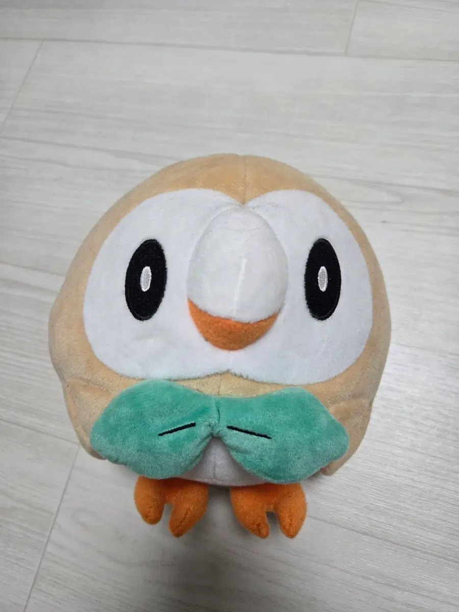 포켓몬 나몰빼미 인형