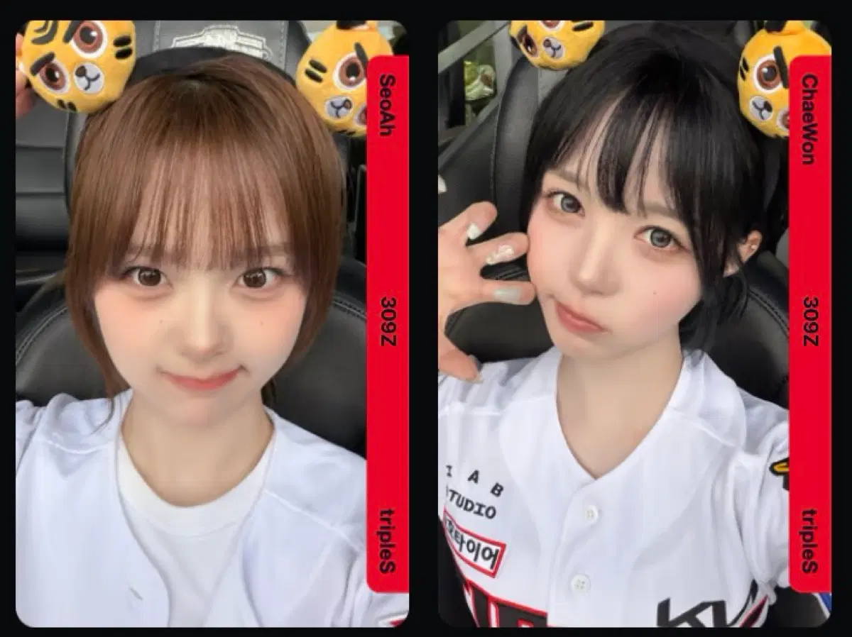 (2장 개별) 트리플에스 김채원 서아 CC309 기아타이거즈 시구 오브젝트 양도 판매