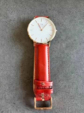 Daniel Wellington DW00100167