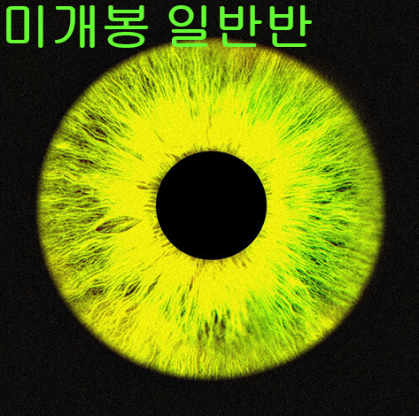 노엘 (NO:EL) - 23'F/W (미개봉, 일반반, CD)
