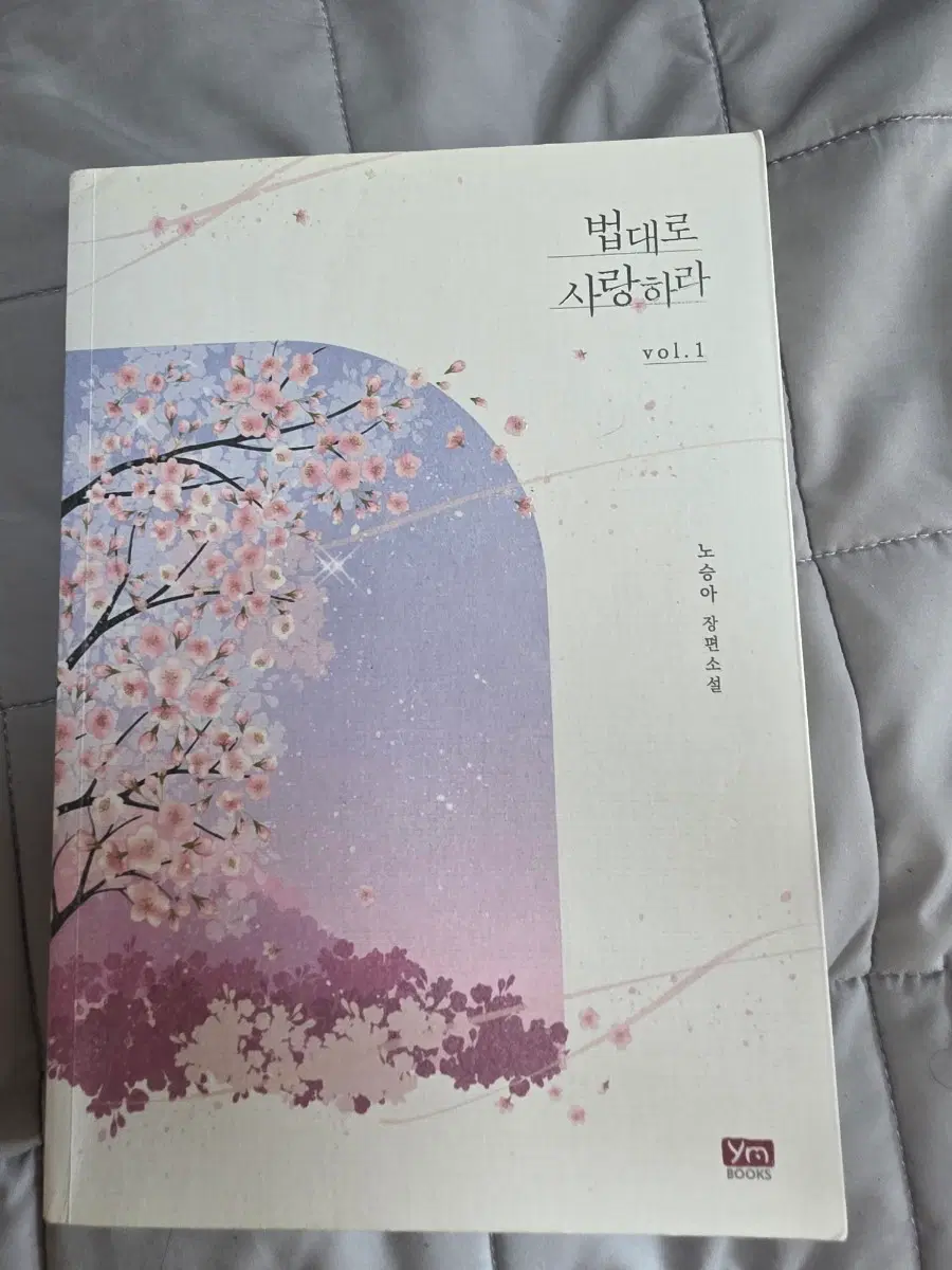 법대로 사랑하라 노승아 장편소설