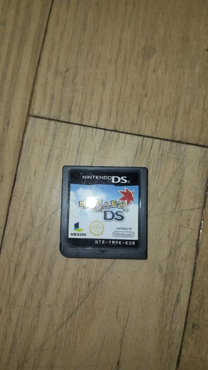 닌텐도 ds 메이플스토리 알칩
