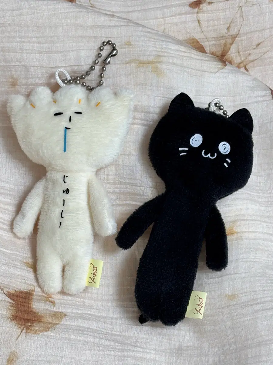 교자만두 유키오+검은고양이 유키오 일괄판매