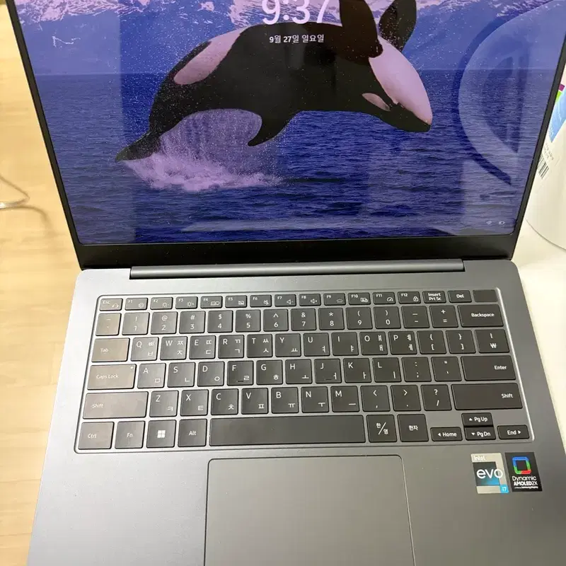 갤럭시북 3 프로 14인치 풀옵 (i7-1360p / 램32GB / 1TB)