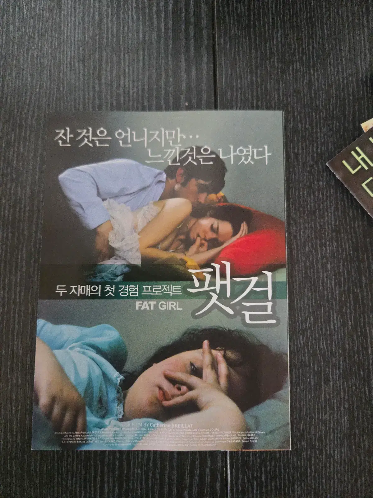 팻걸 / /영화전단지/영화자료/고전희귀