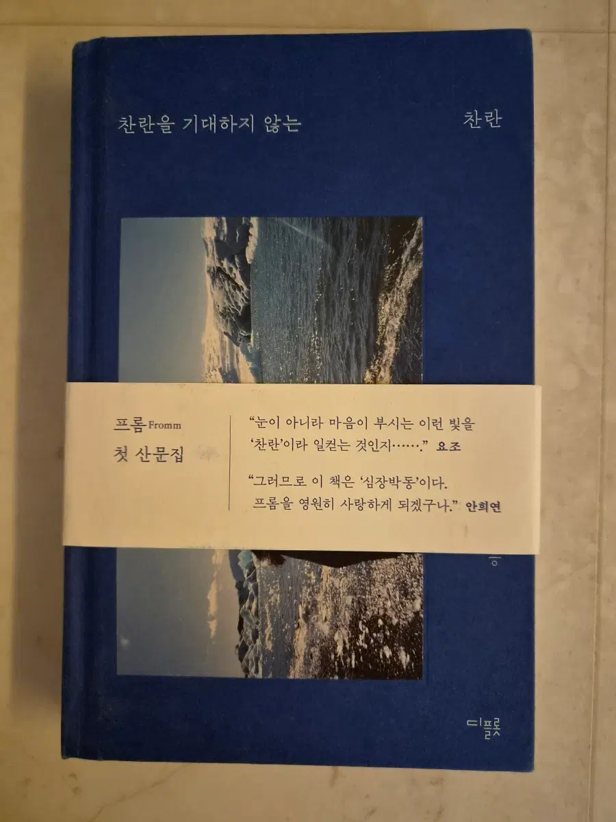 찬란을 기대하지 않는 찬란 - 인디가수 프롬 산문집
