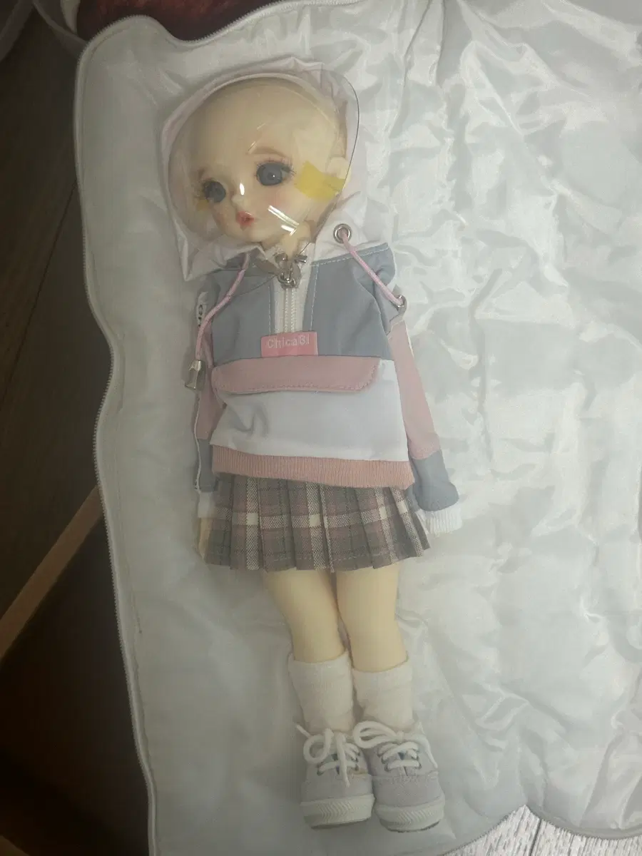 치카비 몰리 판매합니다