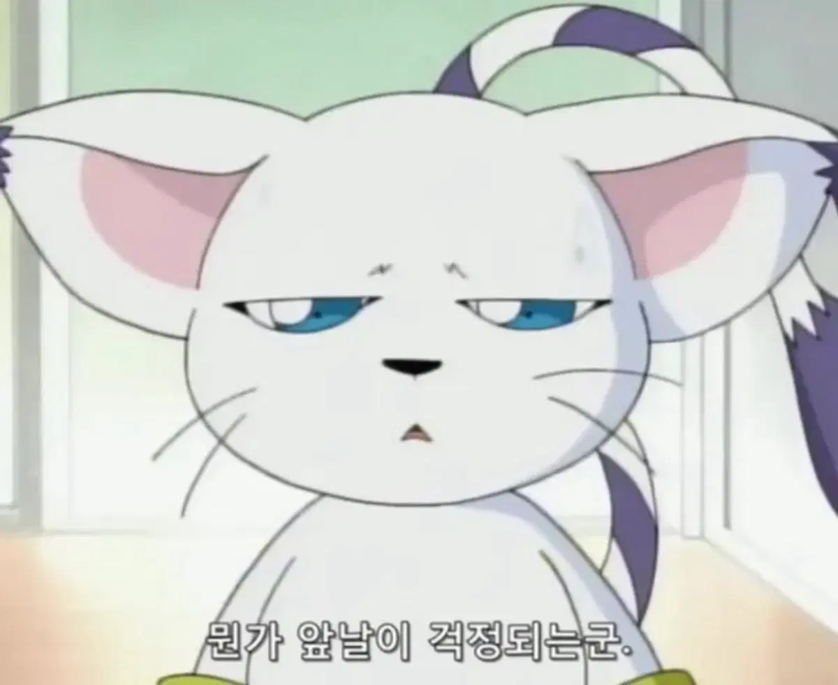 (원가판매)디지몬 다모여페스타 엽서북 미개봉