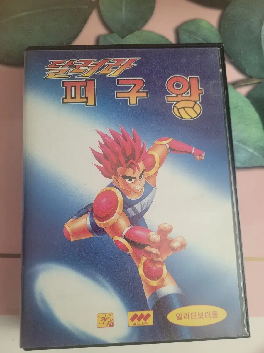 알라딘보이 피구왕곽팩팝니다