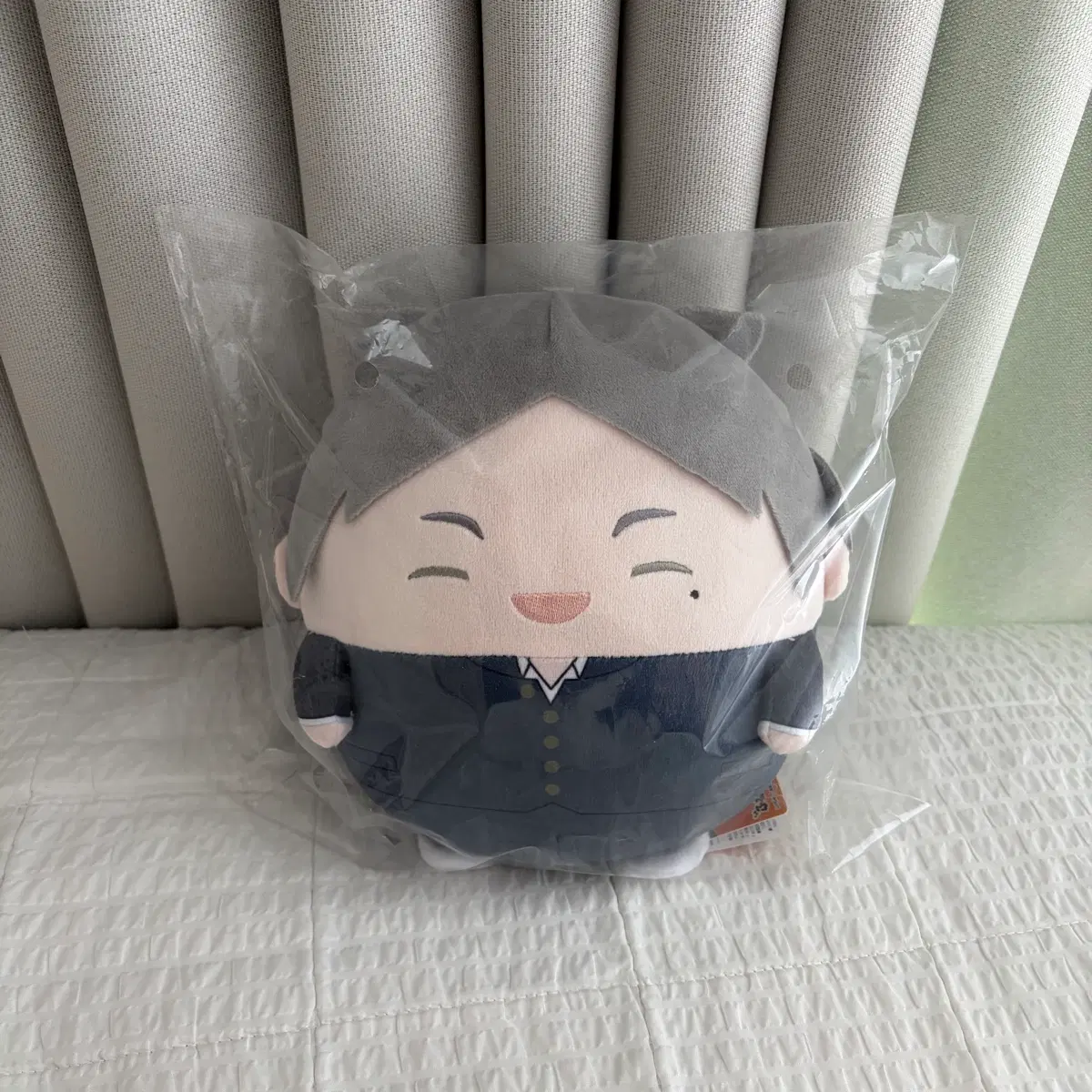 하이큐 스가와라 후와코로링 m사이즈