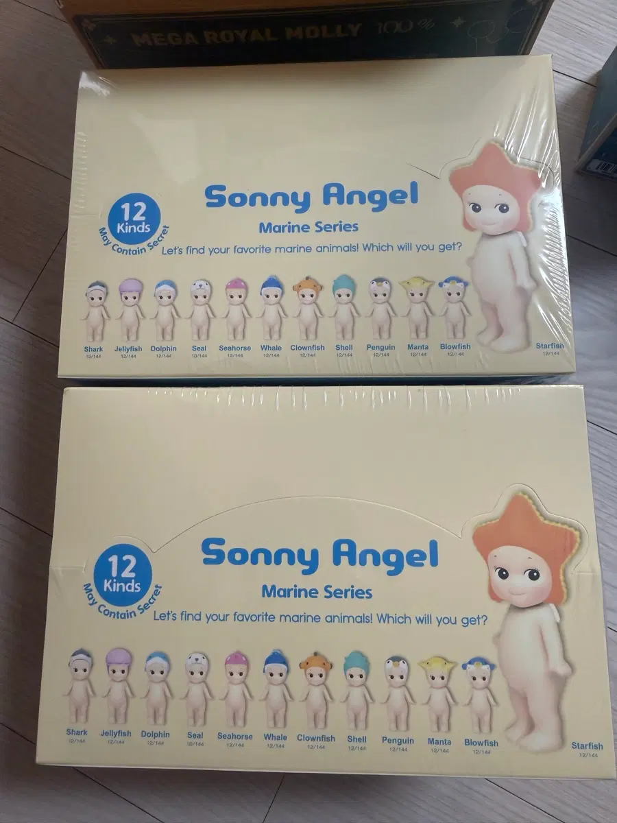 [소니엔젤] 마린시리즈 (Refine 1box 12ea)