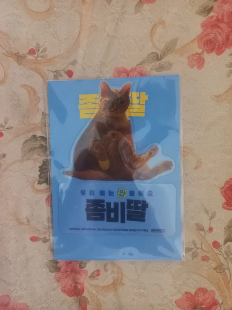 좀비딸 PET 스탠드