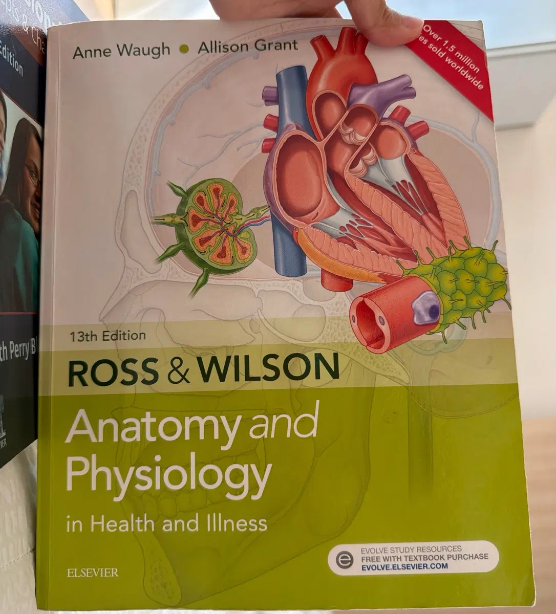 ROSS & WILSON 해부학 및 생리학 13판