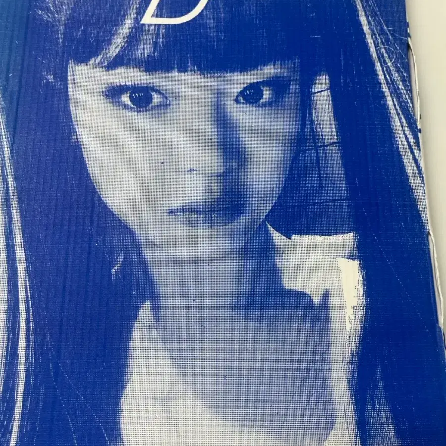 뉴진스 하니 블루북