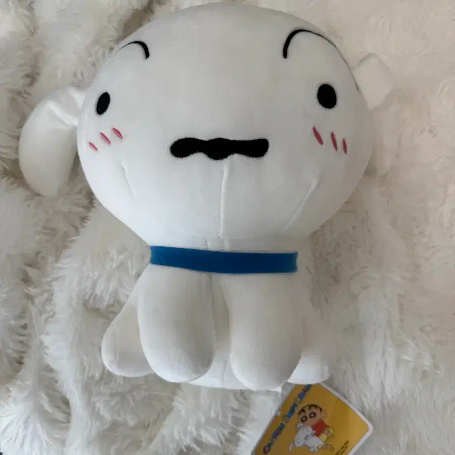 짱구는못말려 흰둥이 인형(약25cm)