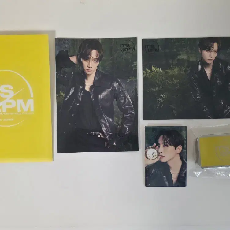 이준호 It's 2PM 콘서트 트레카