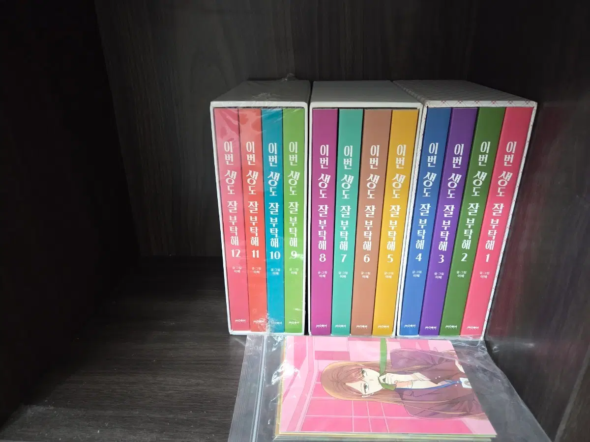 이번생도 잘 부탁해 만화책 전권