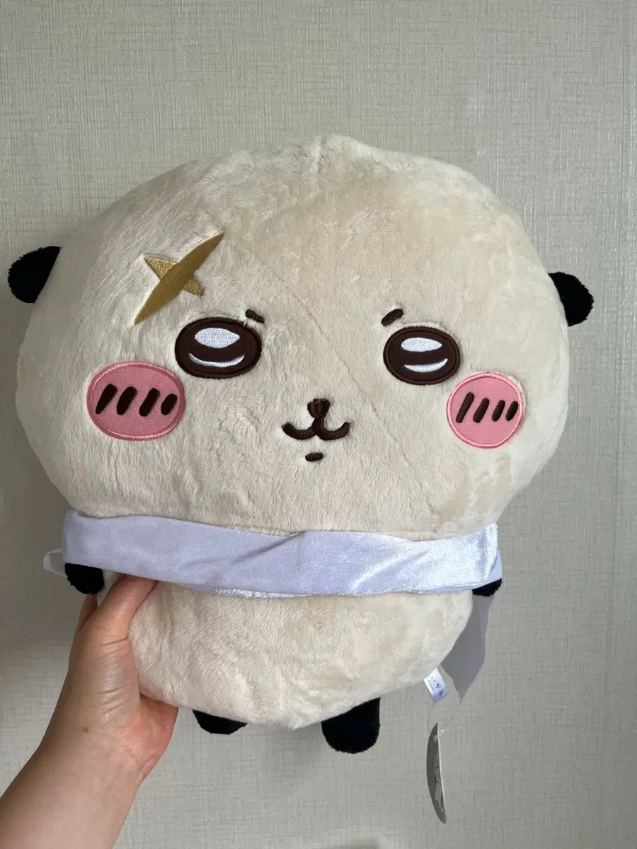 랏코 빅 누이