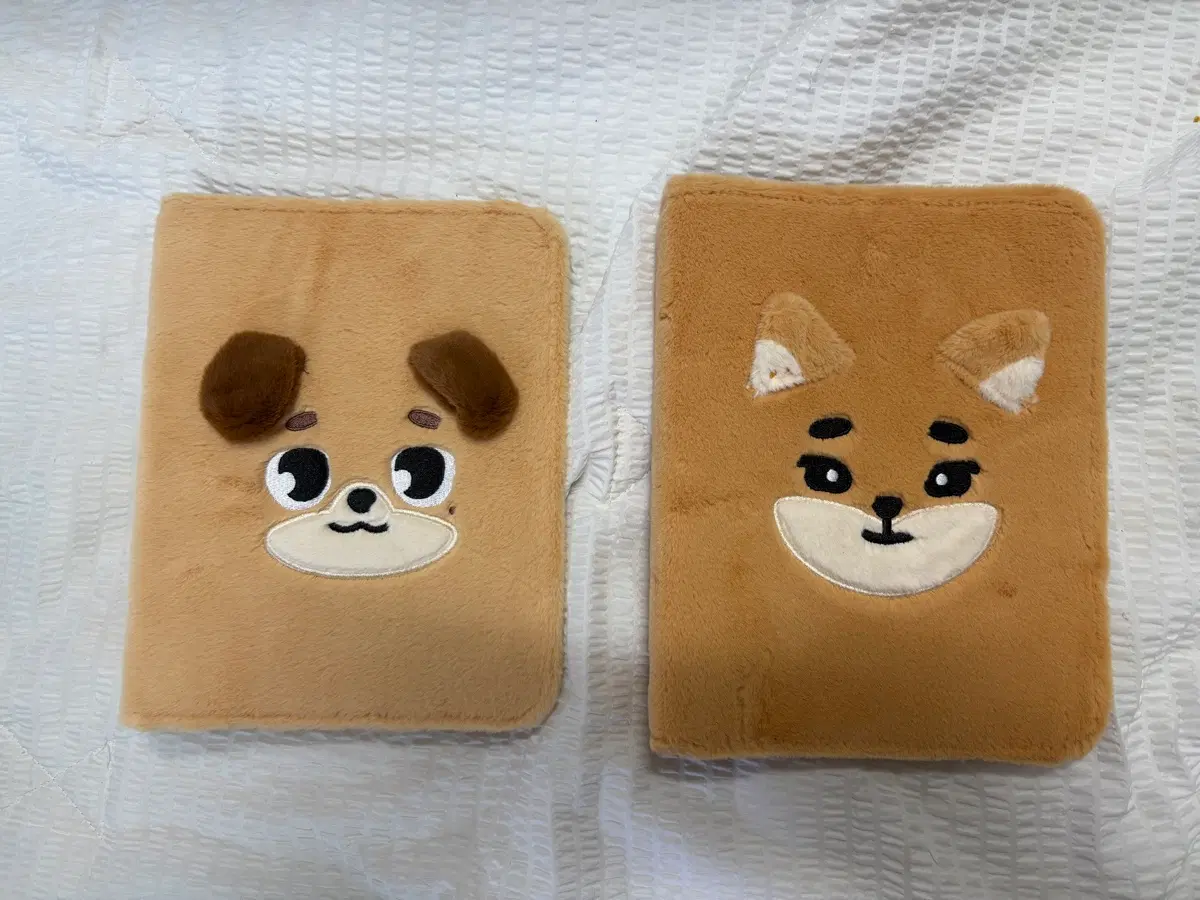 데이식스 포카 바인더