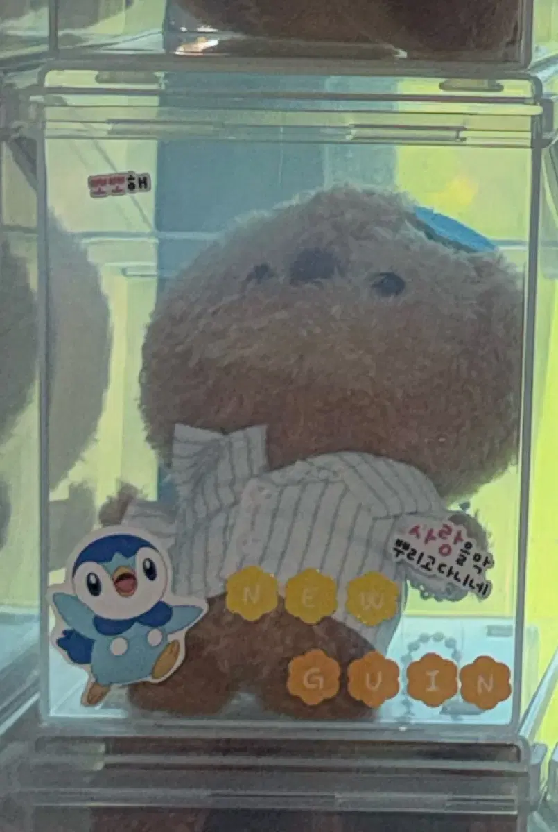 뉴 인형