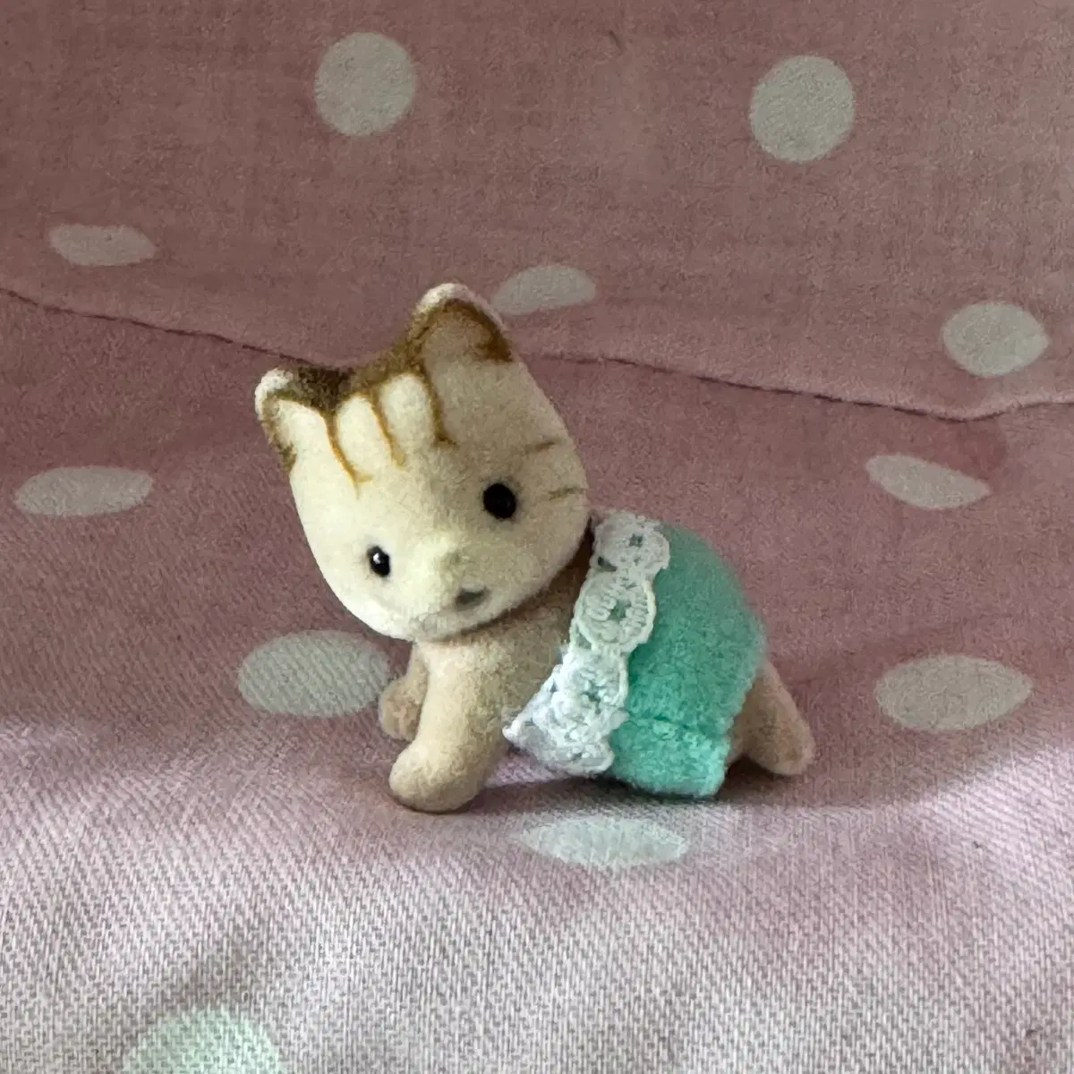 올드)단종)실바니안 줄무늬 고양이 기는 아기