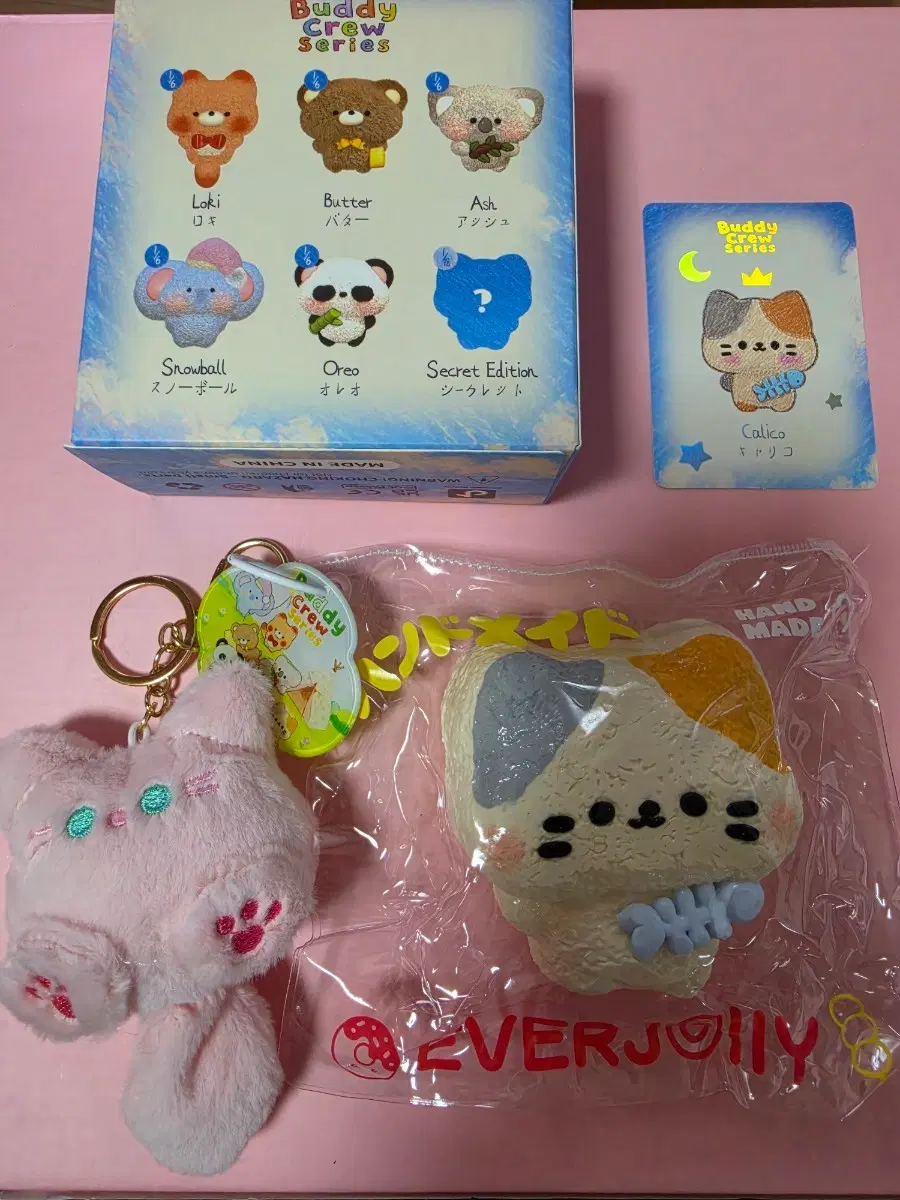 everjolly) 히든 고양이) 에버졸리 버디크루 시리즈