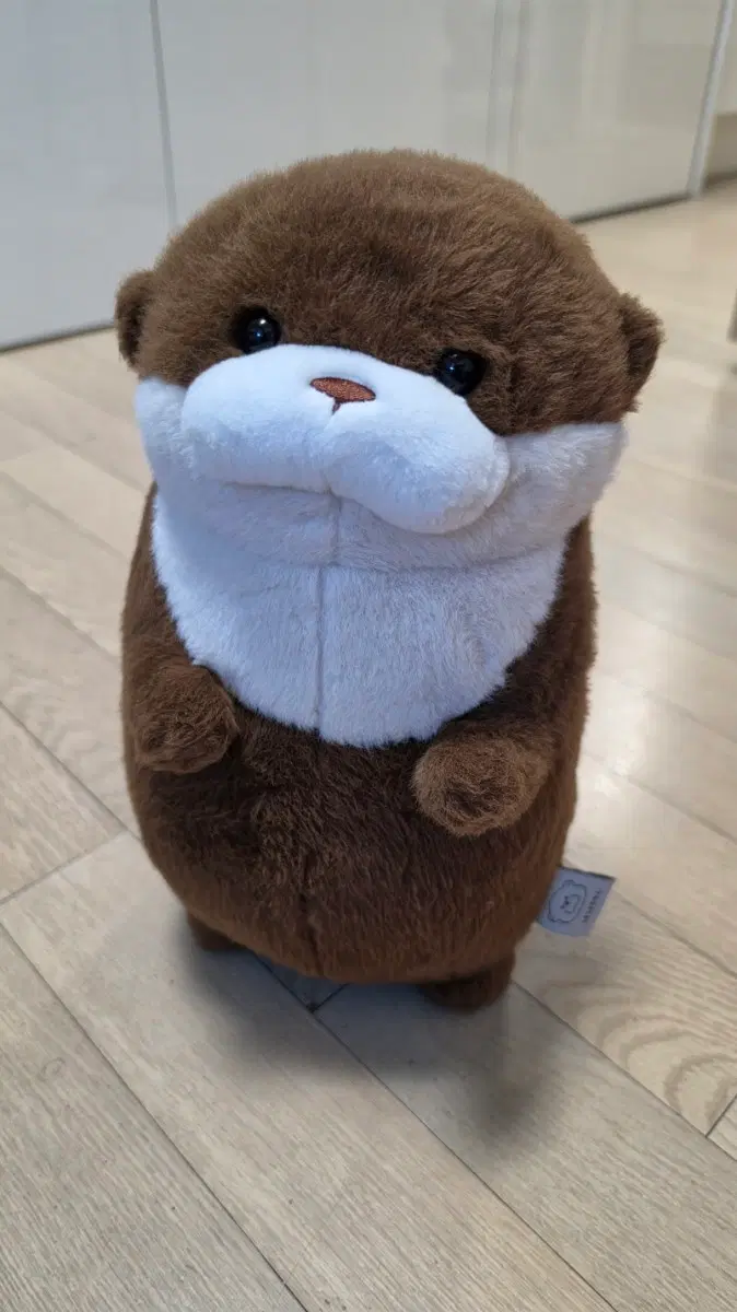 수달 인형 브라운