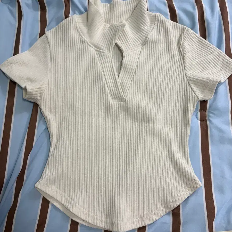 카라 반팔 크롭