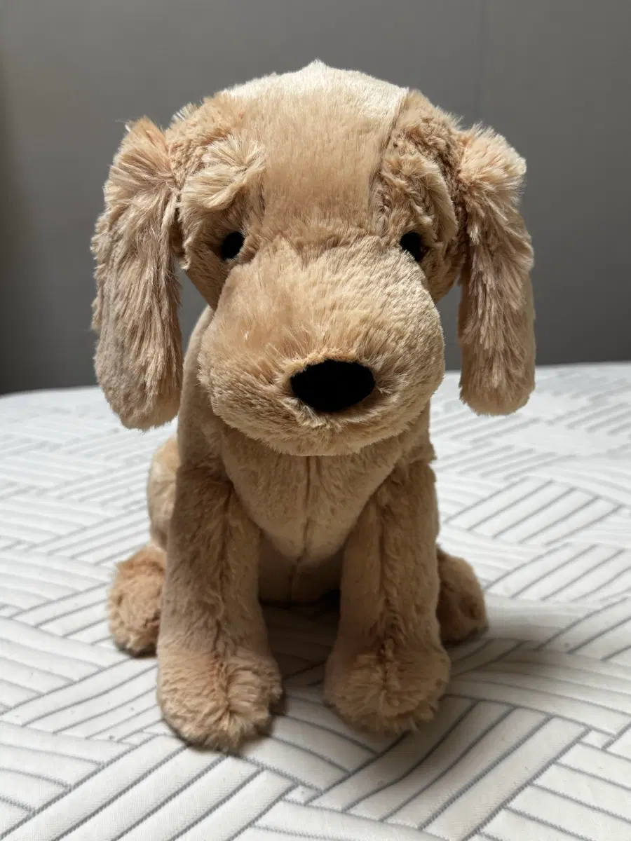 jellycat tilly golden retriever 틸리 골든 리트리버 젤리캣 정품