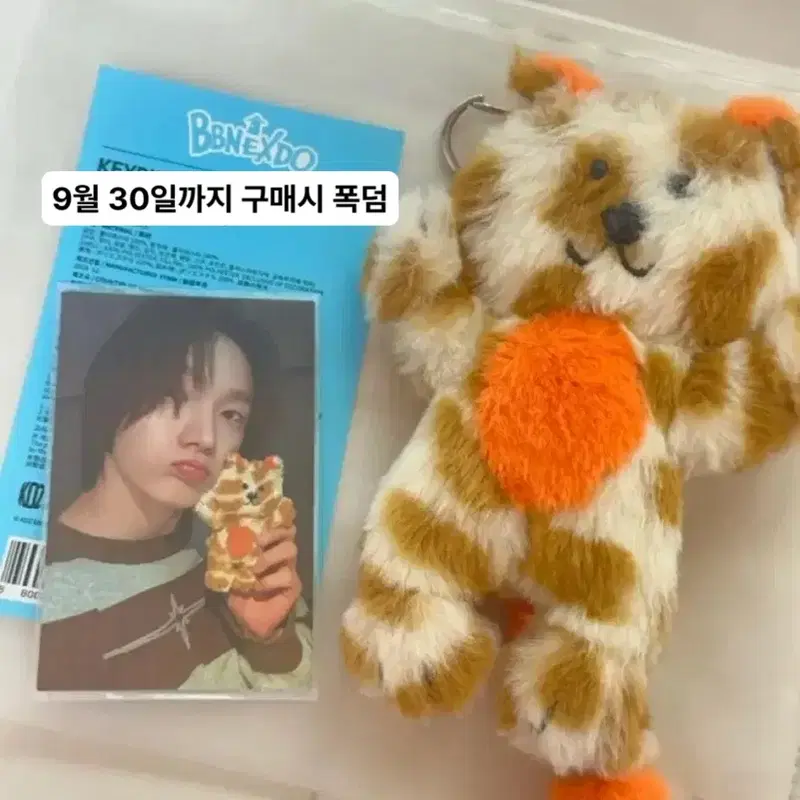 쁘넥도 캣삐 양도합니다 보넥도 성호