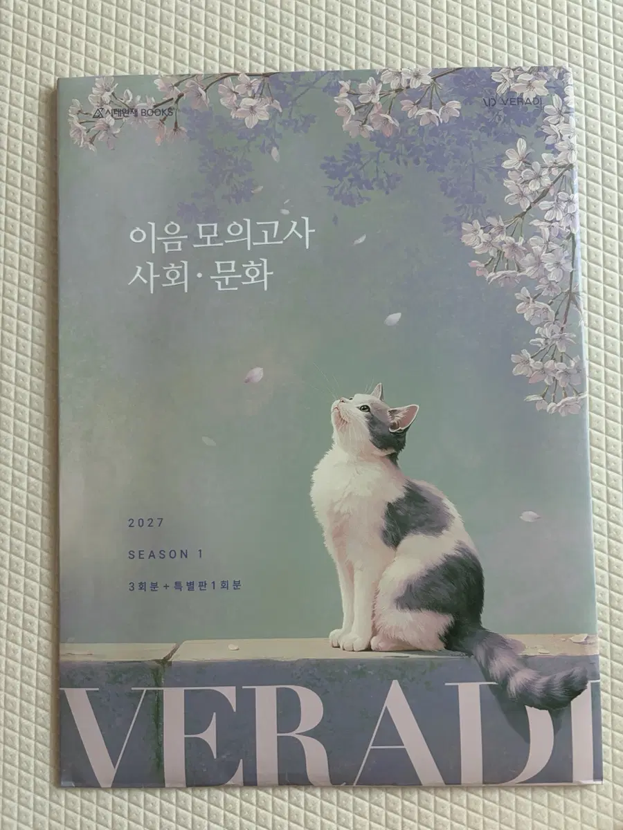 미사용) 베라디 이음 모의고사 사회문화 시즌 1