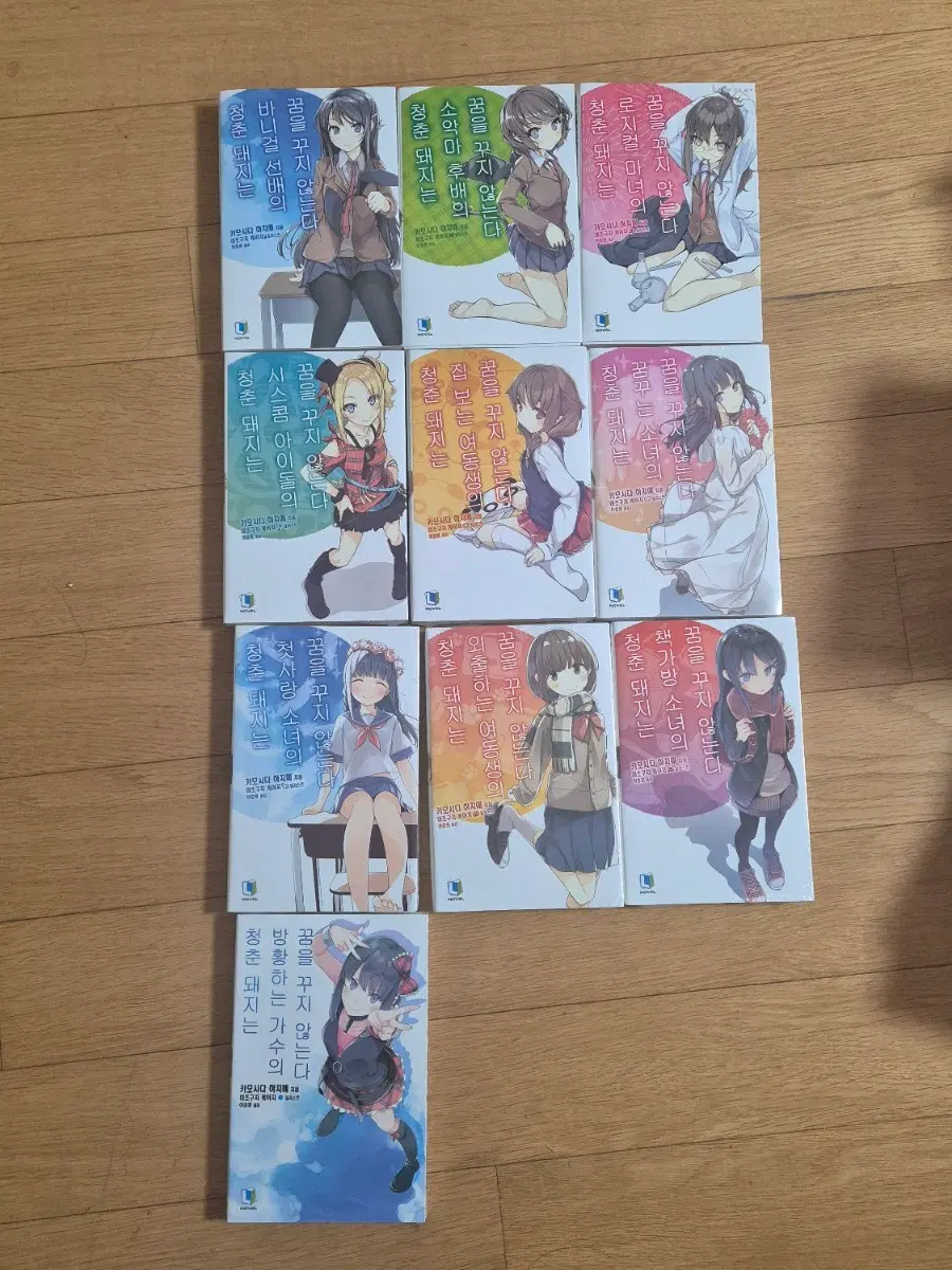 청춘돼지 소설 1-10 일부미개봉 일괄판매