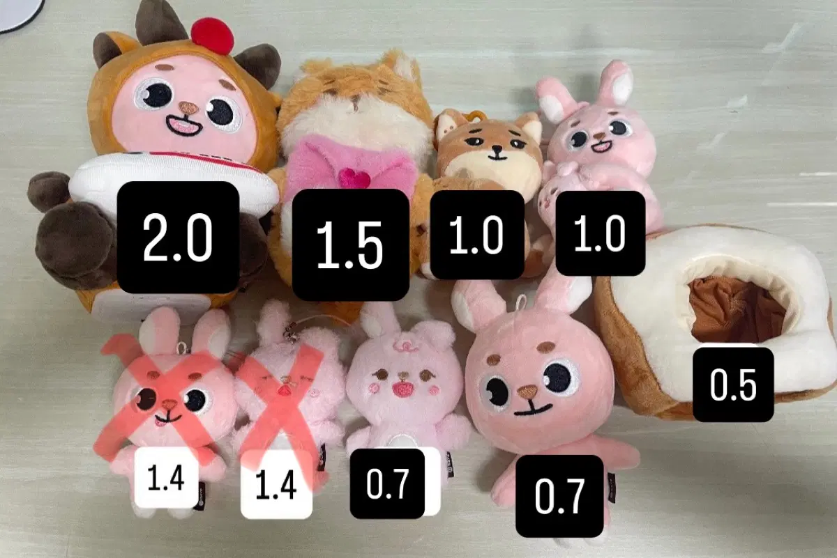 데이식스 굿즈 처분