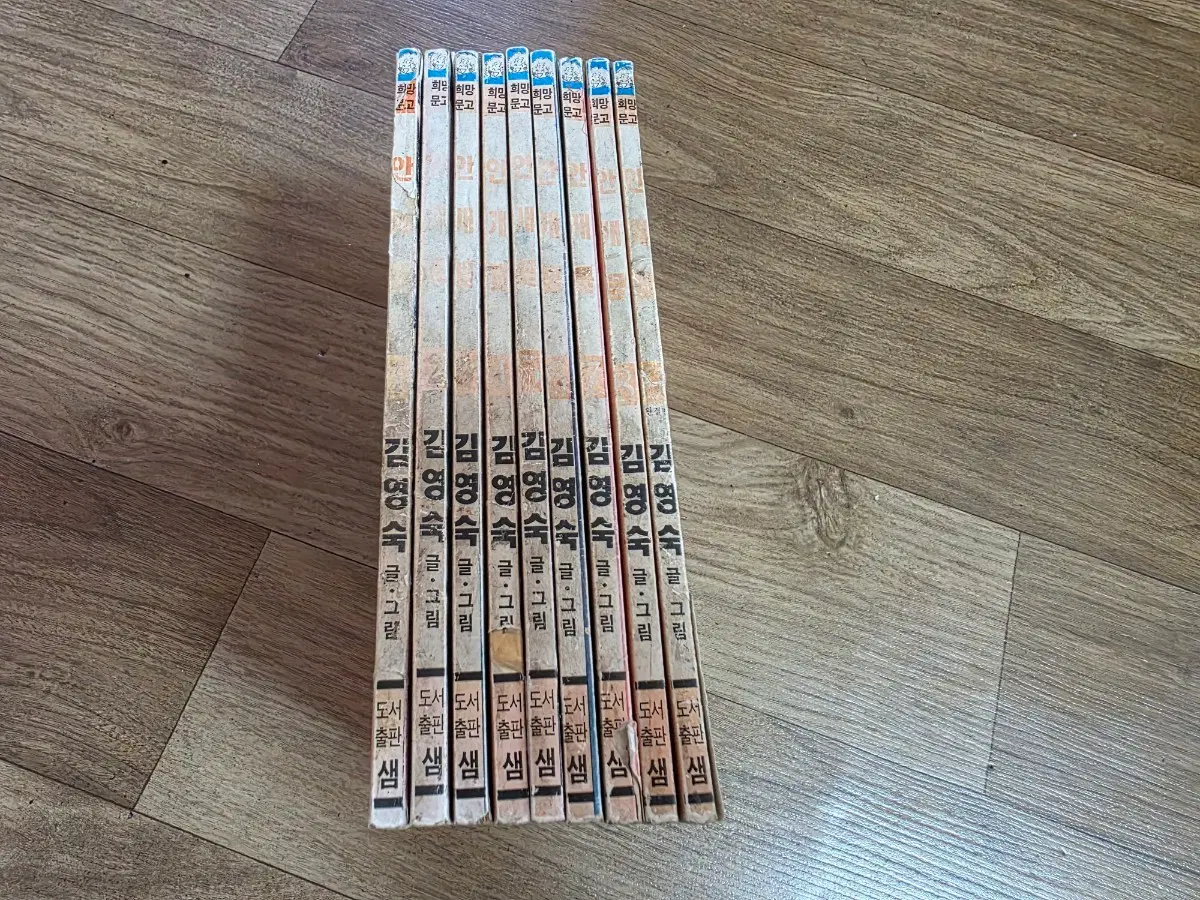 김영숙 안개꽃 만화책