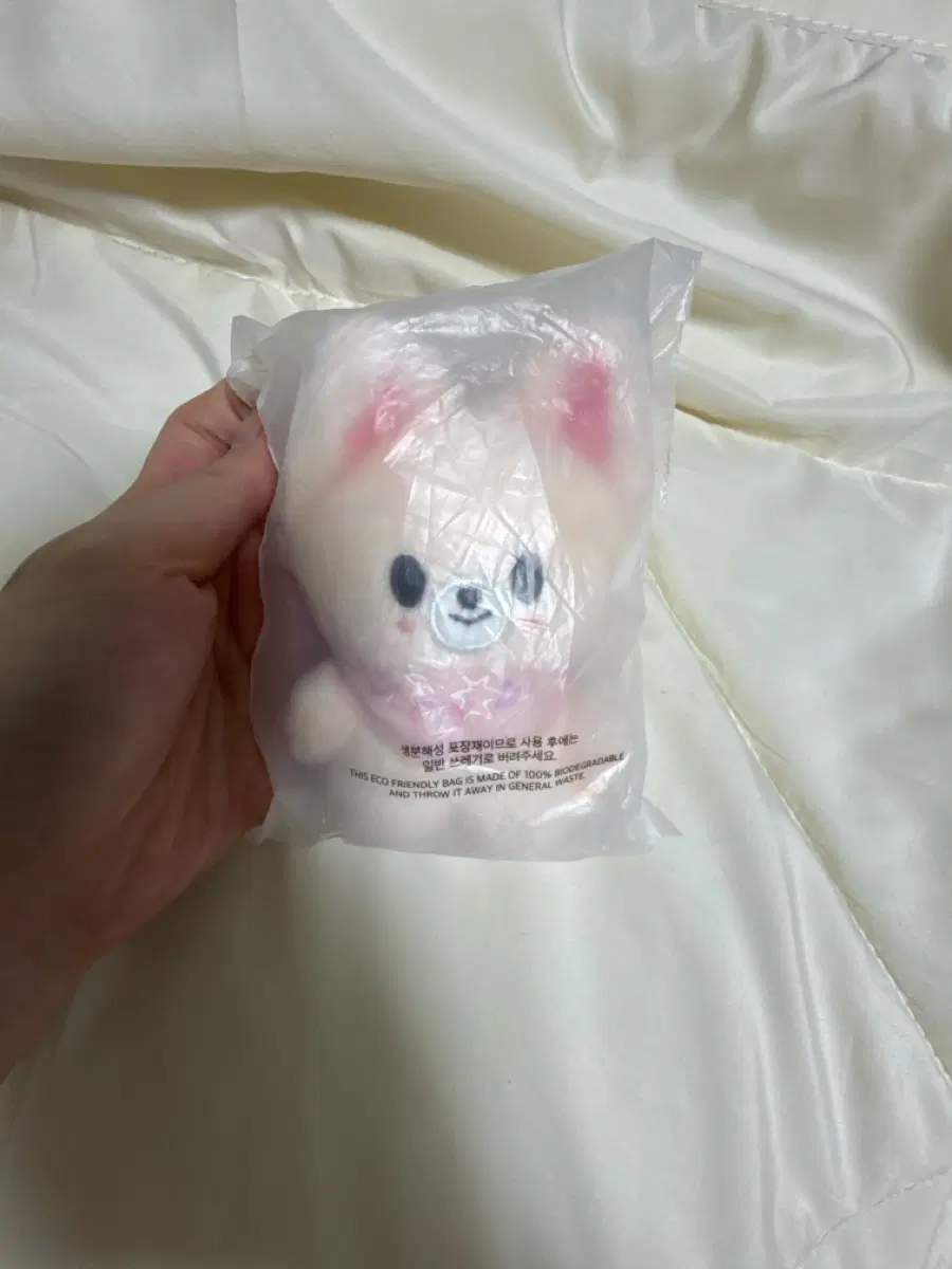 스키주 아이엔