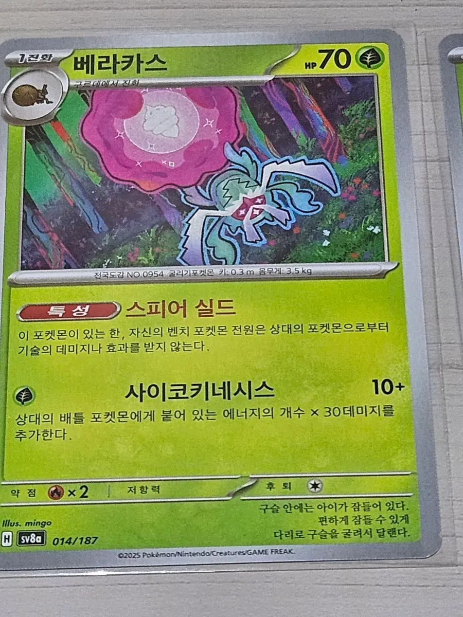 [최저가] 포켓몬 카드 베라카스