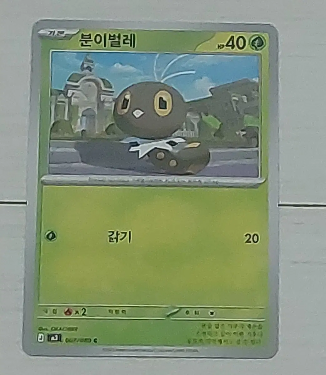 포켓몬카드 분이벌레 싸게 판매 100원