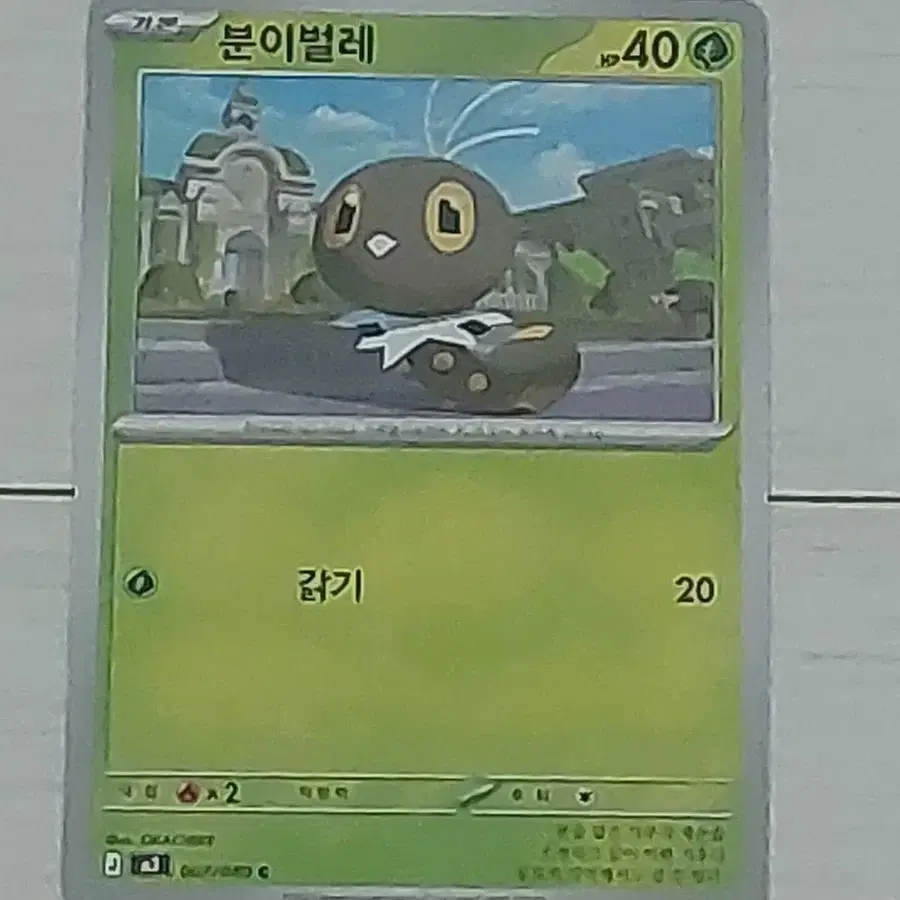 포켓몬카드 분이벌레 싸게 판매 100원
