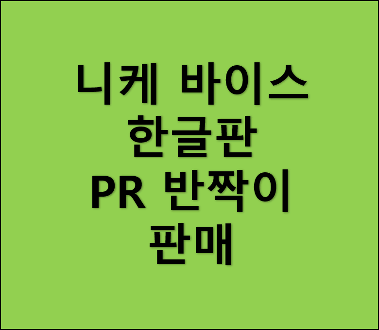바이스 슈발츠 니케 pr 반짝이 카드 12장 판매합니다.