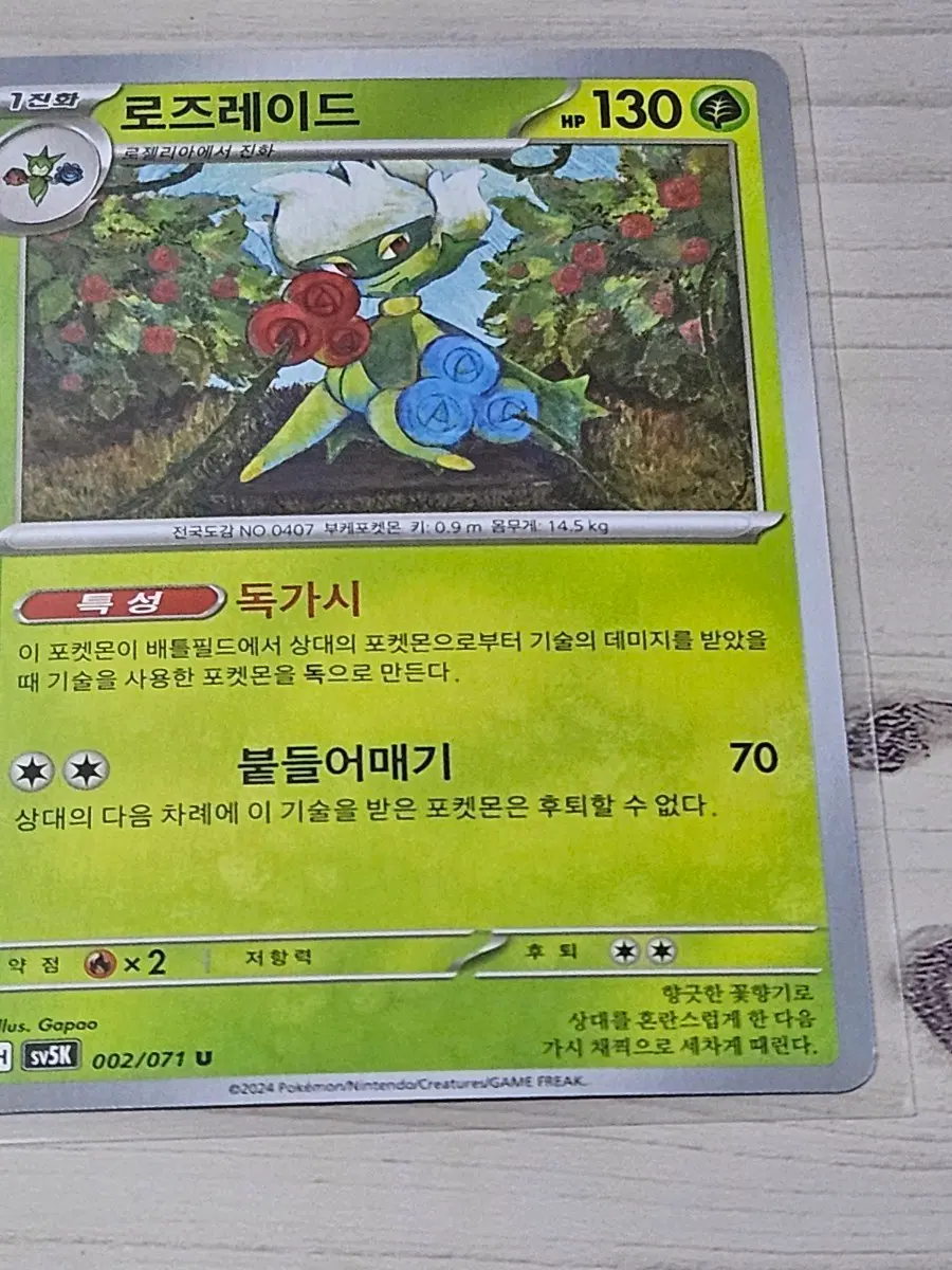 [최저가] 포켓몬 카드 로즈레이드 002/071