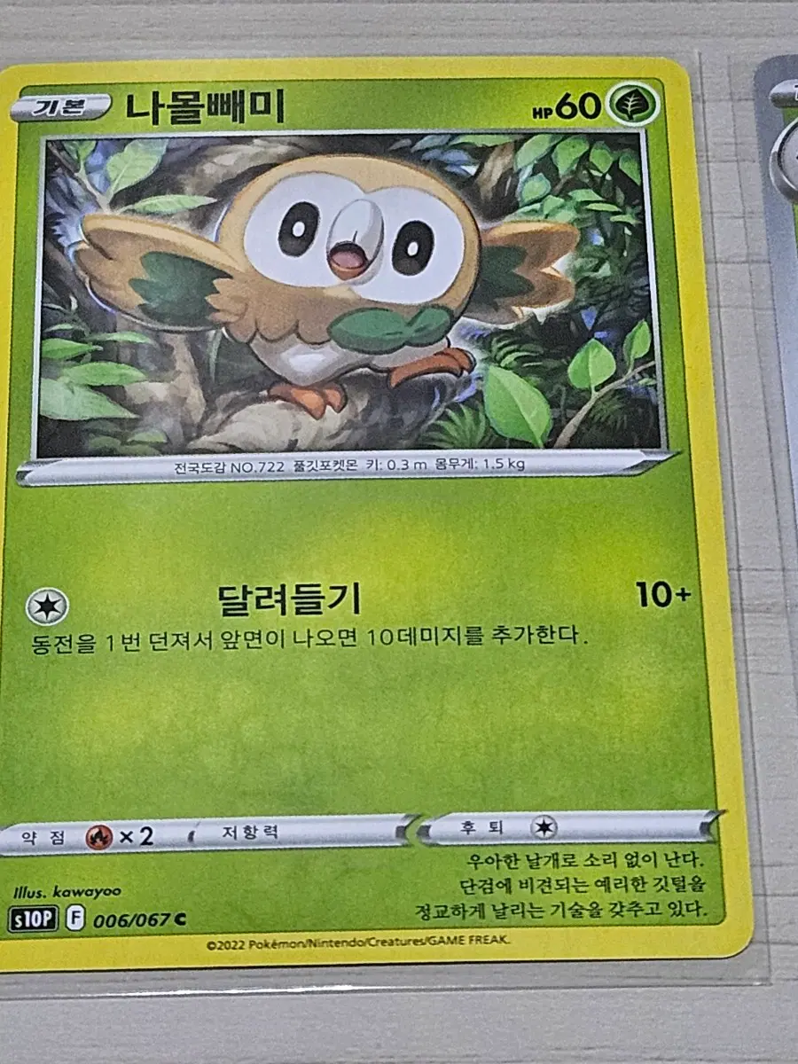 [최저가] 포켓몬카드 나몰빼미