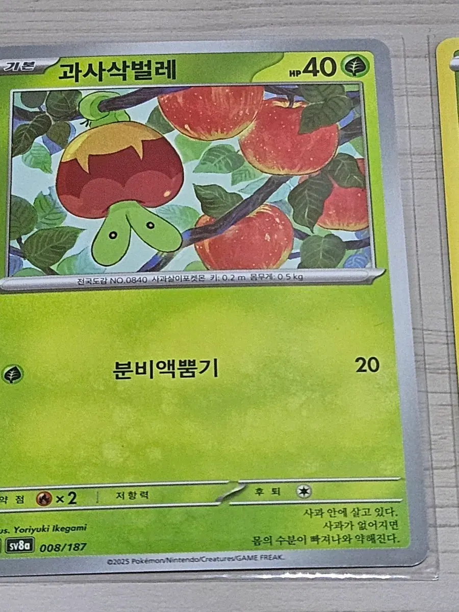 [득템] 포켓몬 카드 과사삭벌레 SV8a 008/187