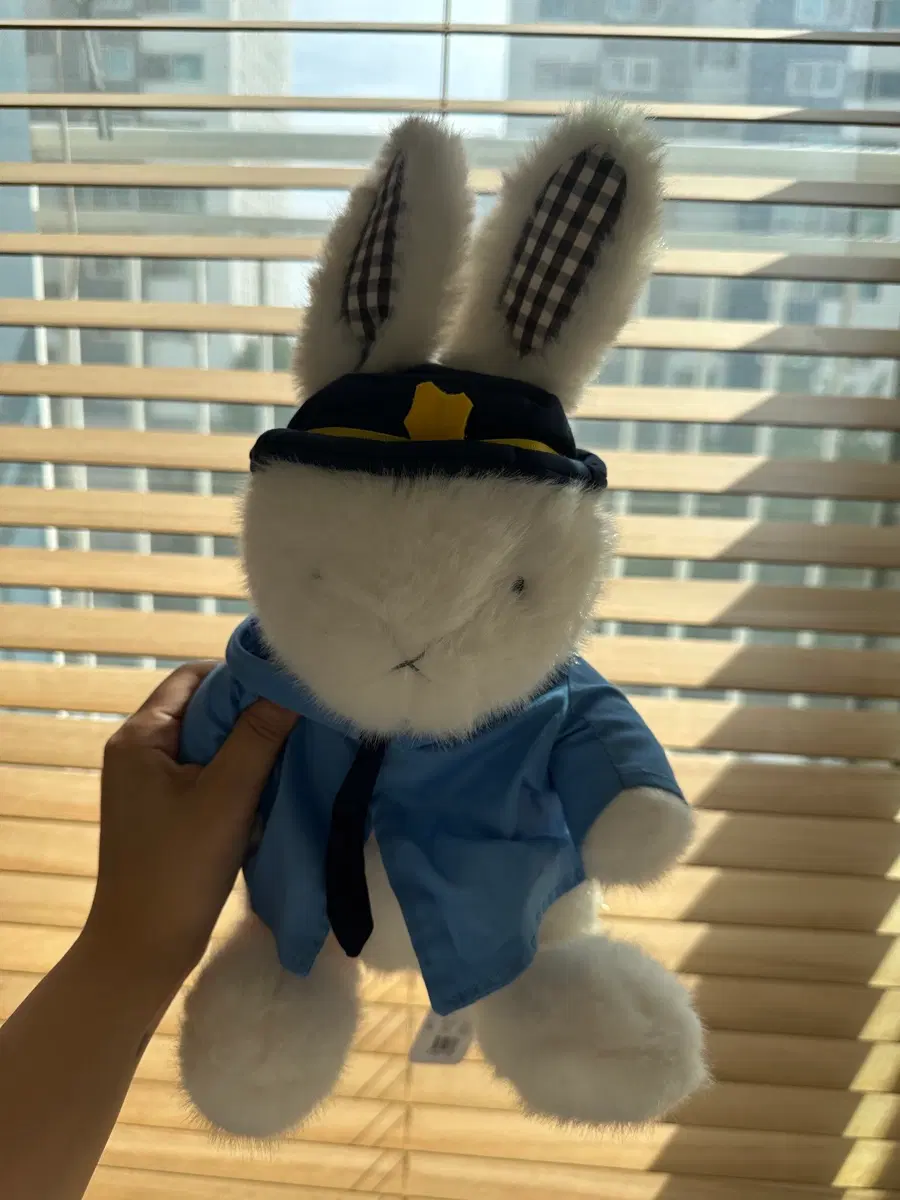 토끼 인형 경찰 코스튬